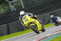 Middle Group Yellow Bikes